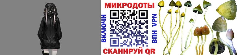 Галлюциногенные грибы прущие грибы купить наркотик Кудрово